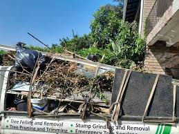 Best Residential Junk Removal  in Basalt, CO